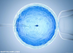 供卵代怀生子代生生男孩